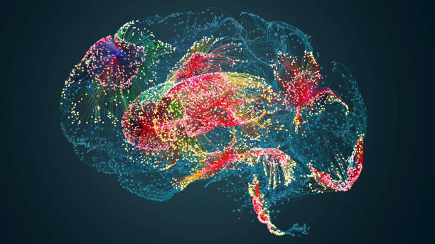 Loss of Weight Associated With Nerve Cells in the Brain