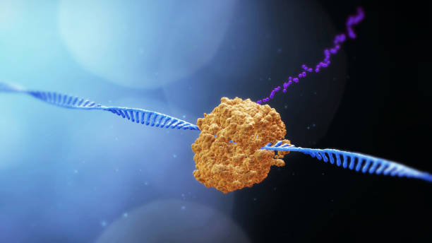 Could artificial intelligence predict cancer? Genomics-based model simulates tumour behaviour