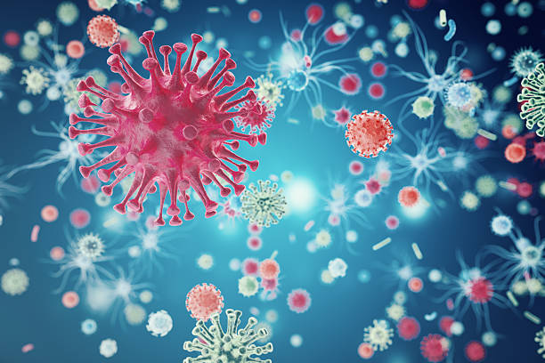 A plant virus that reprograms the immune system to destroy cancer