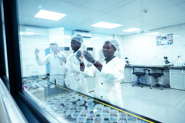 NAIP 2026 CEOs Forum: Reimagining Nigeria’s Pharmaceutical Landscape