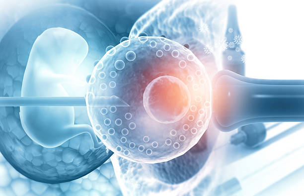 Assisted Reproductive Technologies (ART): Ethical and Clinical Frontiers