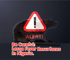 Why Nigeria’s Lassa Fever Outbreak Is Now Deadlier Than Ever Before