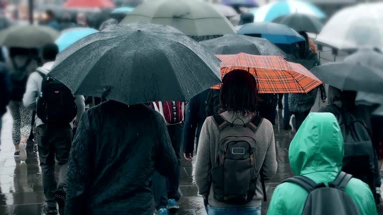 Rainy Season Is Now Here — Here Is How to Stay Healthy
