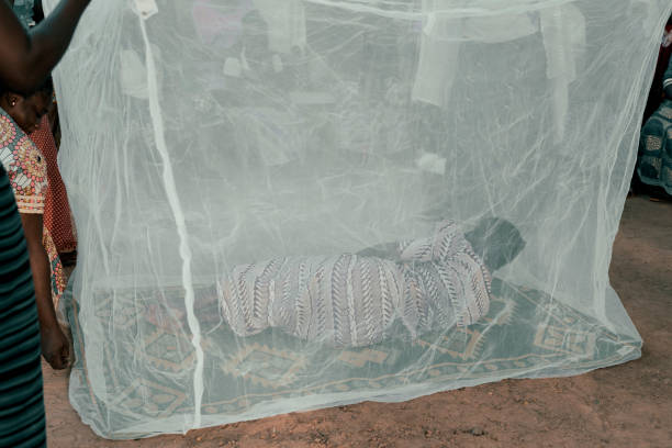 Nigeria Targets Malaria Surge with 2.58 Million Mosquito Nets in Adamawa Campaign