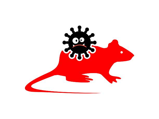 Fresh Lassa Fever Outbreak in Benue as Doctor Dies from Infection