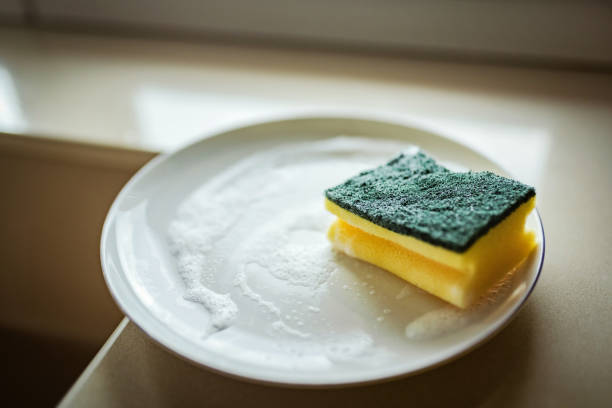 Kitchen: Every Dirty Plate Signs a Tiny Death Certificate – 2