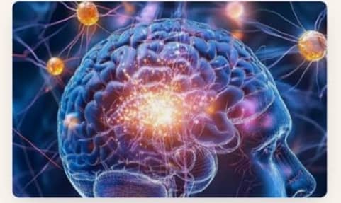 Seven Days of Meditation May Rewire the Brain, New Study Suggests